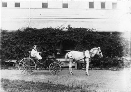 1904 Horse and Carraige